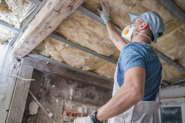 Best Insulation Maintenance and Repair in Brookville, OH